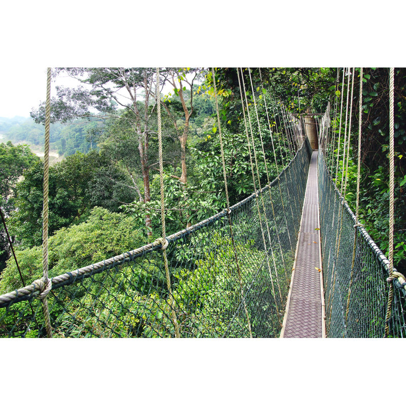 Dehoyos Taman Negara, Malaysia - Wrapped Canvas Print, 81cm H x 122cm W x 3.8cm D