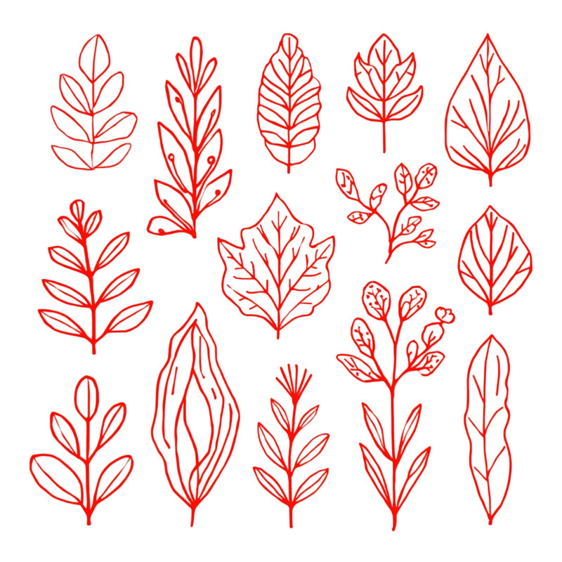 Tapis de bain Red Leaf Illustration, L 24 po x L 17 po