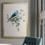 «Bluebird Happy I», toile encadrée de qualité supérieure - prête à être accrochée-33050085-33050082