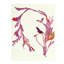Plants XIII Print by Hable Construction-26774363