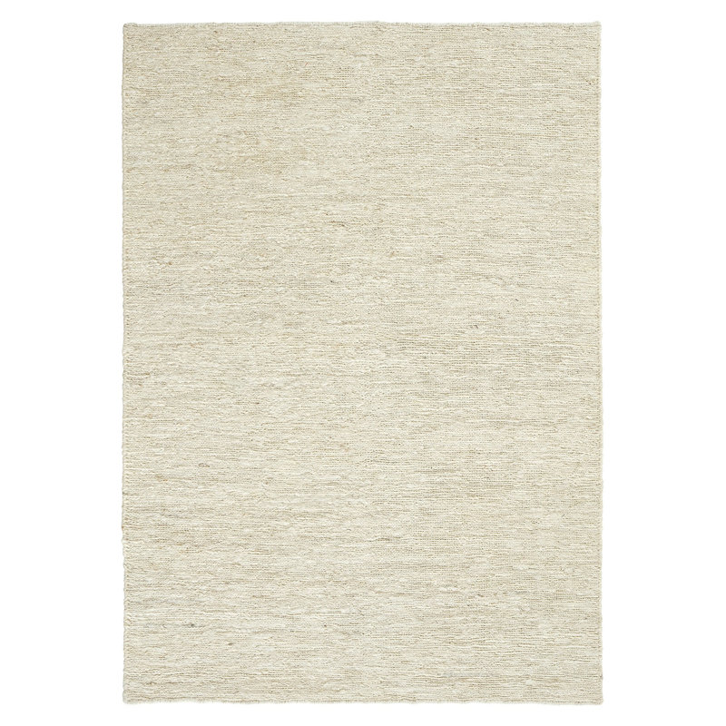 Riorden Hand Woven Indoor / Outdoor Area Rug, Rectangle 2'8" x 4'11"