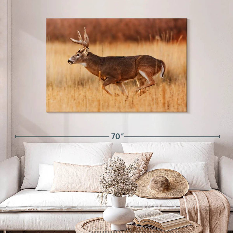 Brampt courir Buck, H 32 po x l 48 po
