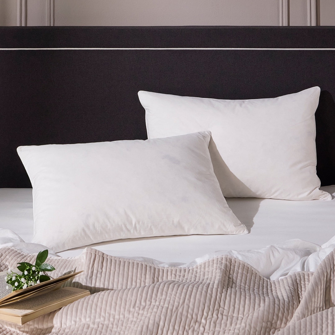 Wayfair UK