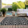  Maliana Area Rug