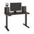 Adjustable Standing Desk-443380250-443380253