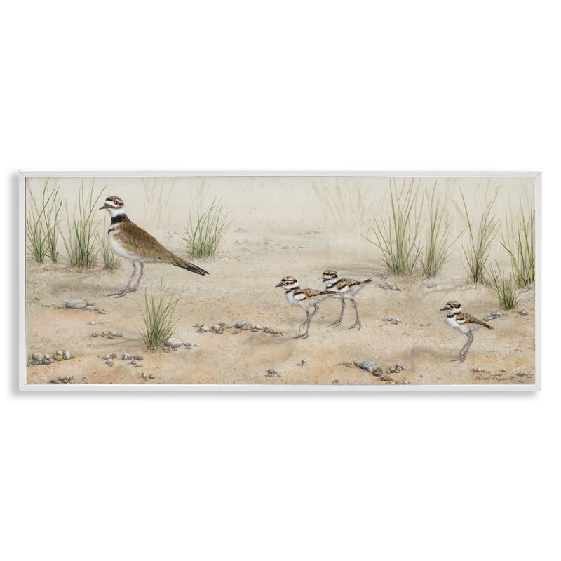  Kildeer Birds Stepping Grey Framed Giclee Art by Valerie Rogers, H 10 po x l 24 po