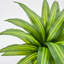 Maïs artificiel 4,3 pi Dracaena Fragrans en pot décoratif en céramique blanche-571941257-571941259