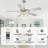Baringer 52" Chrome Finish Modern Luxury Crystal Ceiling Fan with Lights and Remote, DC Motor 6 Speeds Reversible Ceiling Fan for Large Room-2000026741