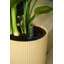 Pot Planter-69444365-69444366