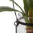  24in. Amaryllis with Vase