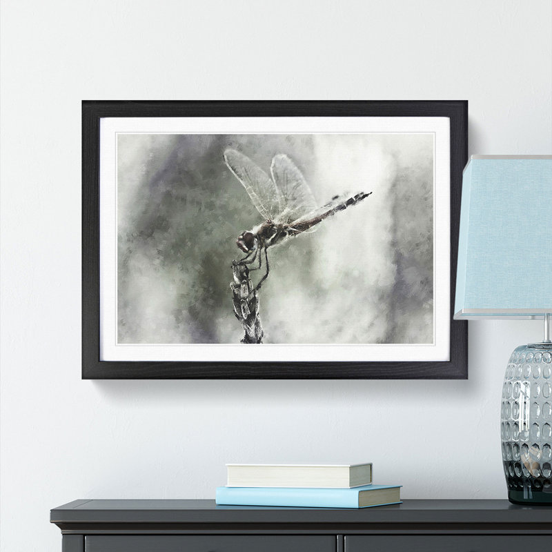 Perched Dragonfly - Picture Frame Graphic Art Print, 45cm H x 63cm W x 2cm D, Black