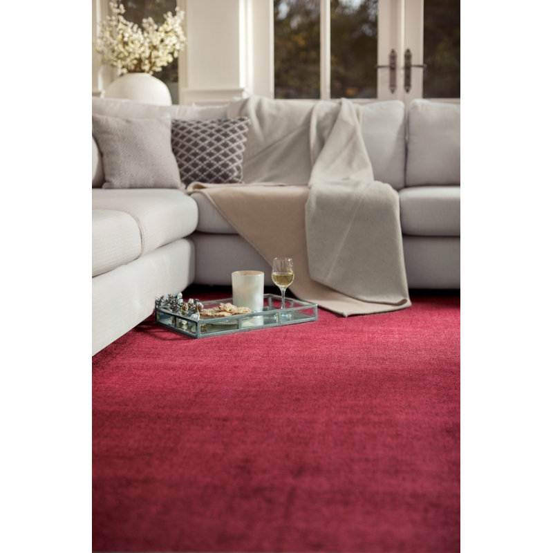 Waldoboro Solid Colour Hand Woven Area Rug, Rectangle 200 x 290cm