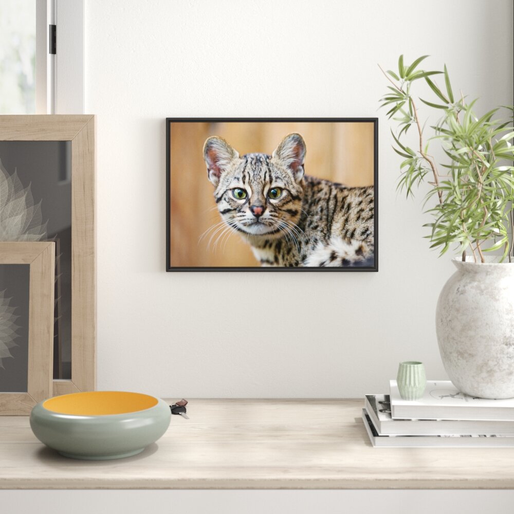 Gerahmtes Wandbild kleine Bengalkatze