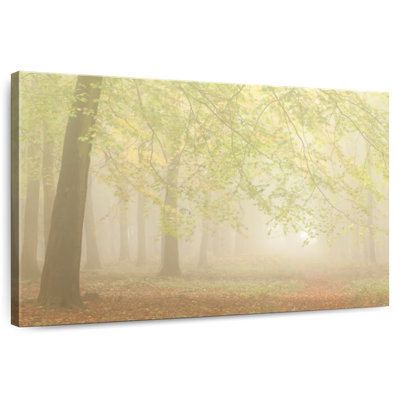 Alvord Forest Fog I