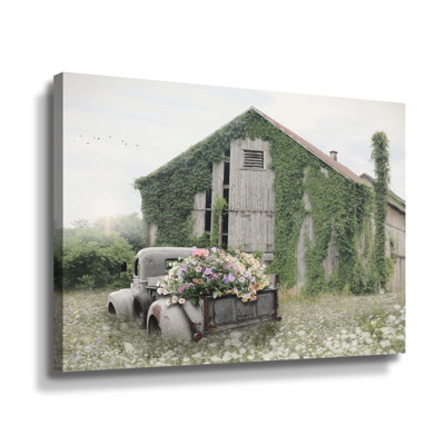 " Field Of Flowers "
