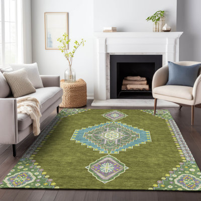 Machine Washable Indoor/Outdoor Chayden ACN1014 Rug