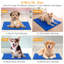 Tapis de refroidissement pour chien et chat-349291387