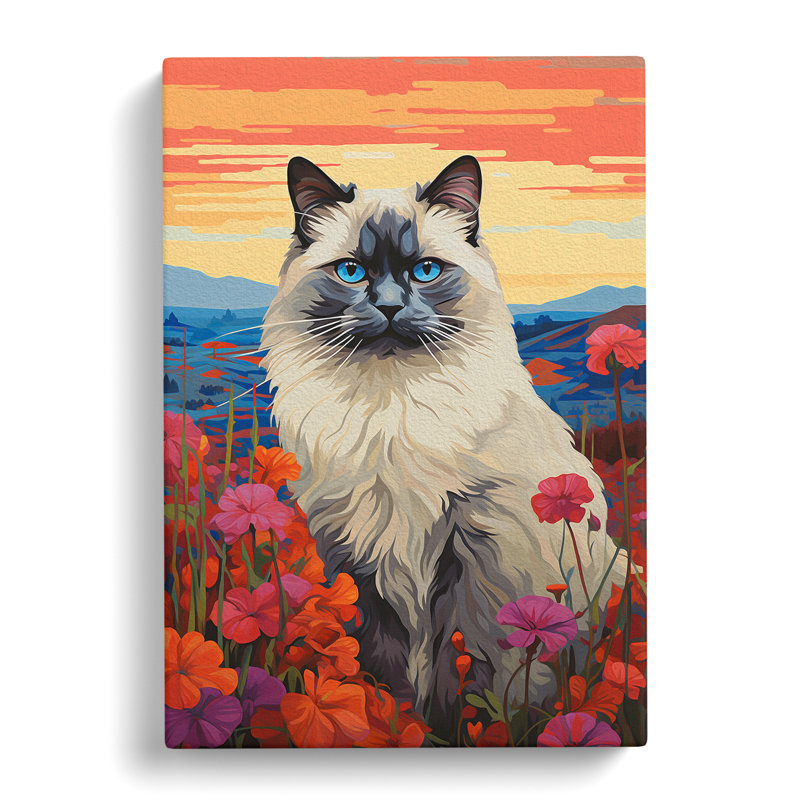 Ragdoll Cat Colour Field No.2 - Wrapped Canvas, 50cm H x 35cm W x 3cm D