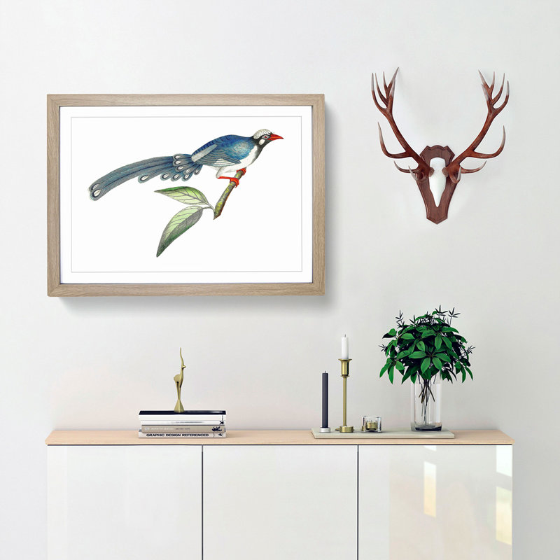 Chinese Cuckoo by George Shaw - Picture Frame Painting Print, Oak Framed, 27cm H x 36cm W x 2cm D