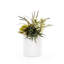 Faux Succulent Plant in Ceramic Planter