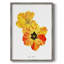 Olive's Tulips I, reproduction encadrée - bois massif-553549534