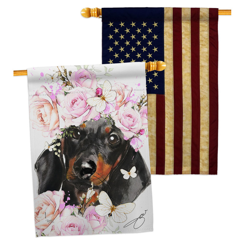 Drapeau de maison 40 po x 28 po Dachshund