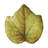 Forest Walk Leaf Plate Assorted 4 - Piece Set