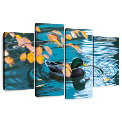 Brampt Mallard Duck On Pond