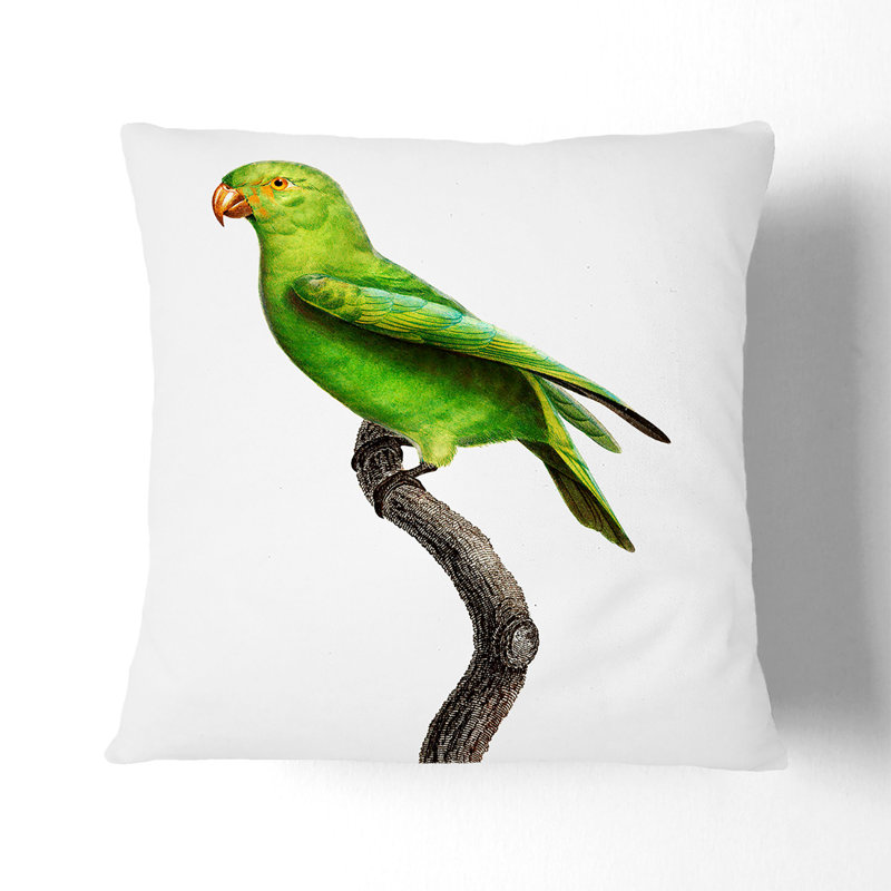Square Throw Cushion, 40cm H x 40cm W x 15cm D