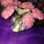 Customer photo 2 of 3