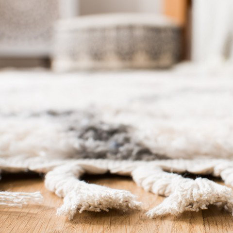 Barnes Geometric Hand Woven Area Rug