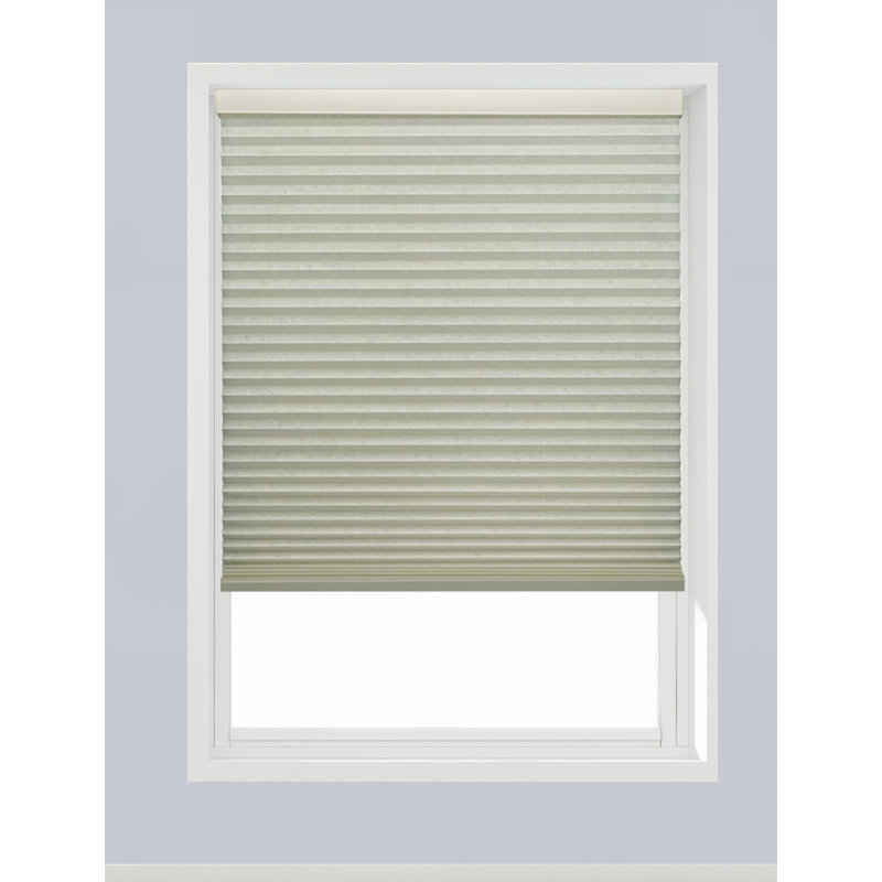 Store cellulaire occultant coquillage, l 19,25 po x L 78 po