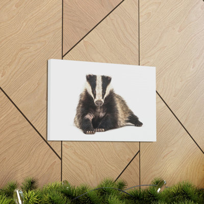Laying Down Badger Print Animal Wall Art