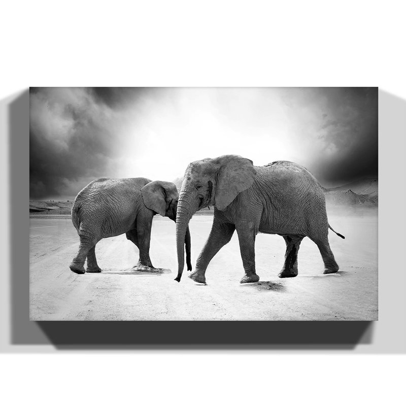 Two Elephants - Wrapped Canvas, 70cm H x 100cm W