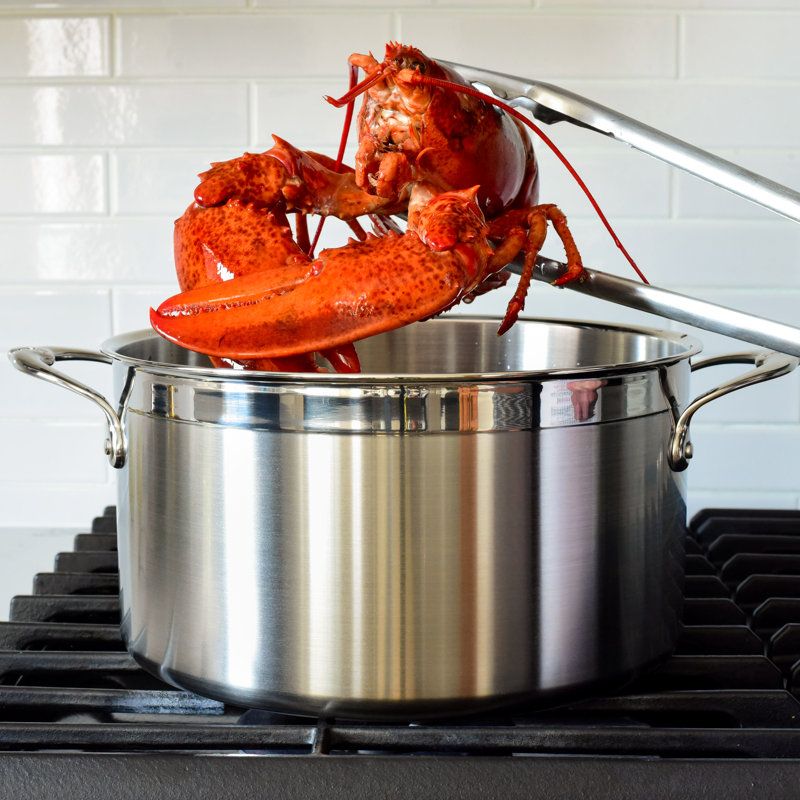 Hestan ProBond 3 QT Covered Soup Pot, 8 qt.