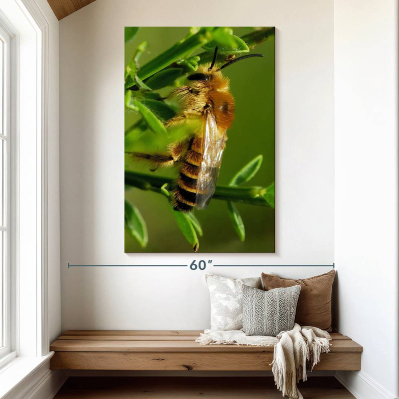 Brampt Bee Bee Bee, 51" H x 34" W