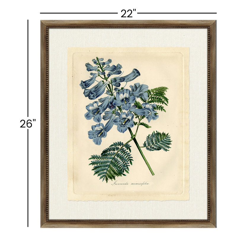 " Jacaranda " Painting Print