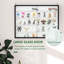 5 vitrines, noir et blanc, réglables pour les collections