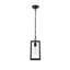 Luminaire suspendu d'extérieur noir 13 po Allson