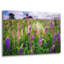 «Spring Blooms In Maine» par Rick Berk, art mural en verre acrylique-1893610888