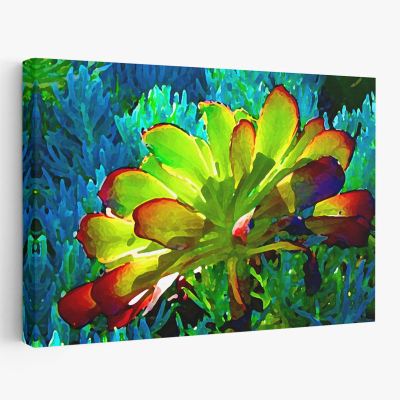 Plantes, fleurs, abstrait, paysage, nature, succulent brillant I, art mural, H 16 po x l 24 po