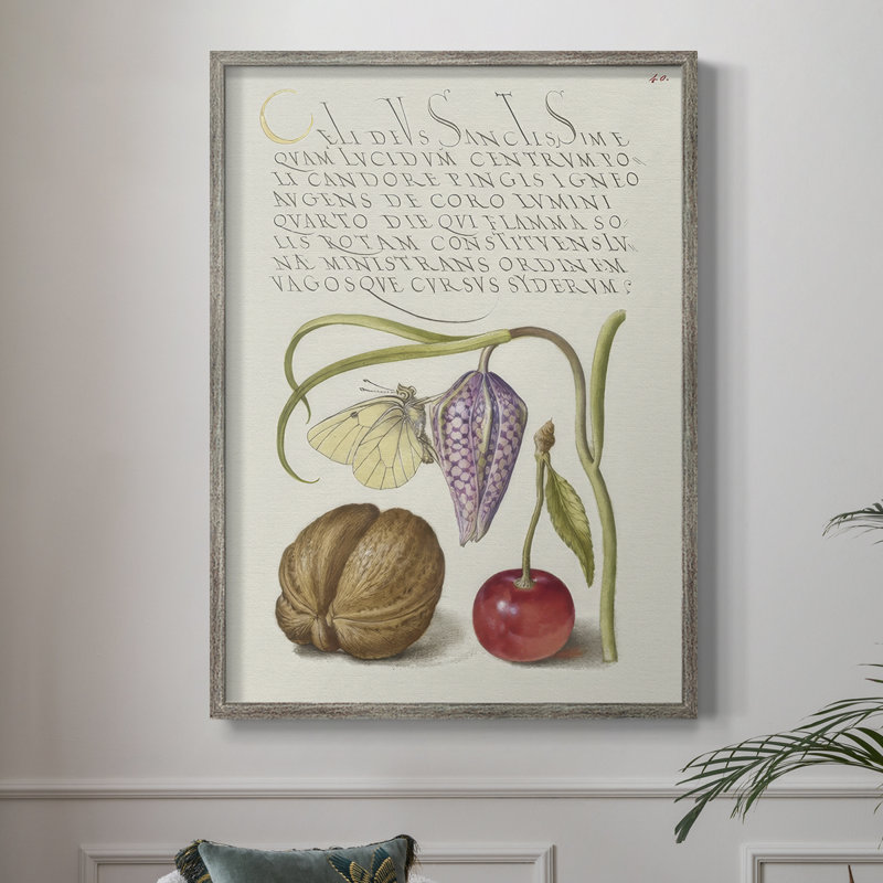 Reproduction encadrée Hoefnagel, spéculations tropicales - bois massif, H 30 po x l 24 po