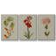 Botanical Array IV - Ensemble de 3 cadres photo sur toile-97757324-97757325