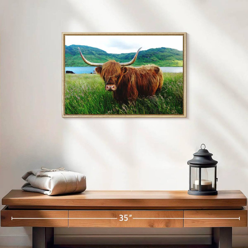 Vache Highland, Cadre flottant en bois naturel, 19 po x 13 po