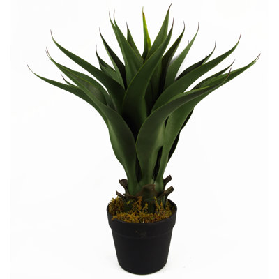 Anivea 55cm Faux Yucca Tree in Pot