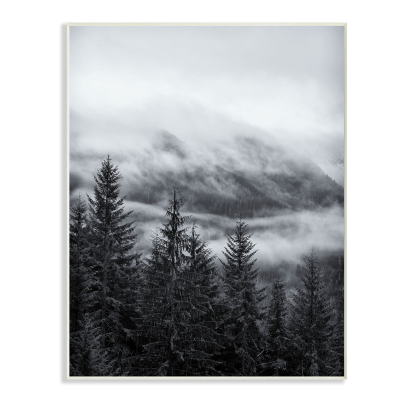 «Snowy Mountain Pine», reproduction de photo, 10 po x 15 po, Plaque