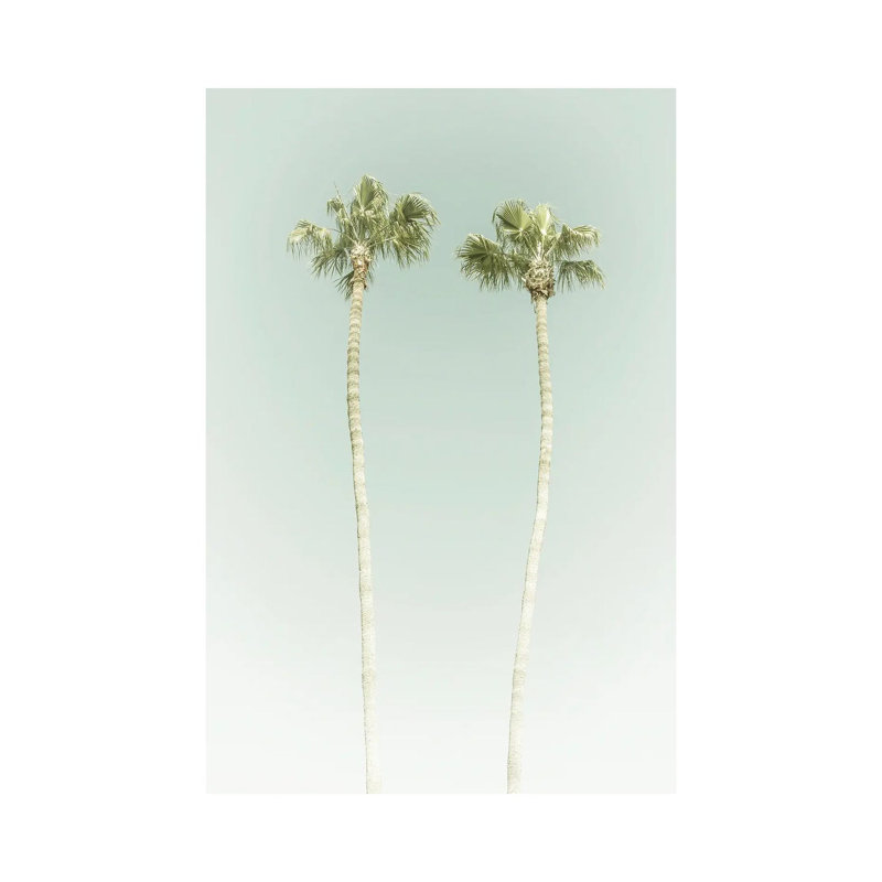 Vintage Palm Trees by Melanie Viola - Wrapped Canvas Print, 20.32 cm H x 30.48 cm W