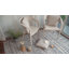 Tapis gris clair / beige Mccaleb Southwestern-2069916705