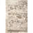 Shockley Faded Floral Performance Beige Rug-1292772423