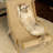 Sisal Scratching Cat Lounge Chair with Wooden Frame – Comfortable and Durable Cat Scratcher-478057229